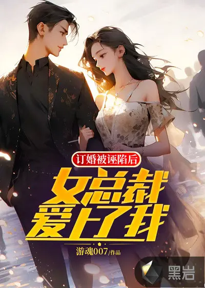 总裁我们隐婚吧