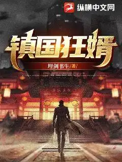 镇国狂婿