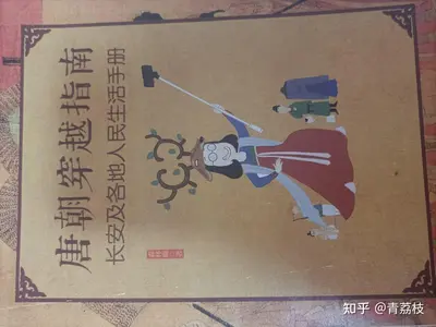 北宋穿越指南