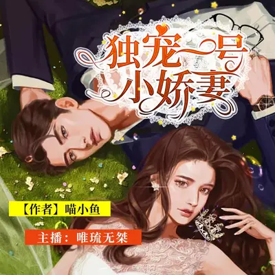 冷王独宠商女妻