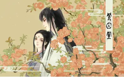 凰不倾城凤未惜