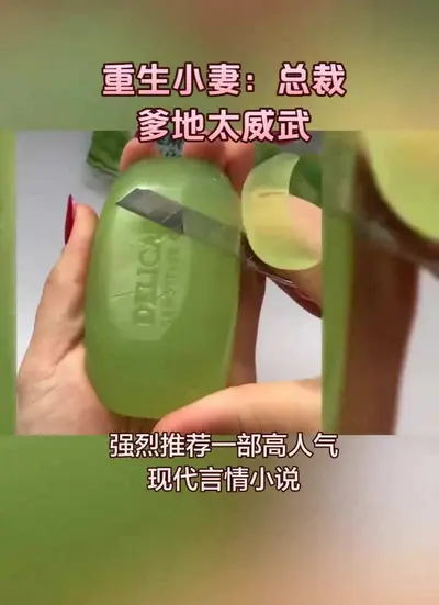 重生小妻：总裁欺上身