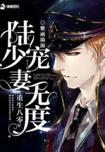 重生八零之陆少宠妻无度