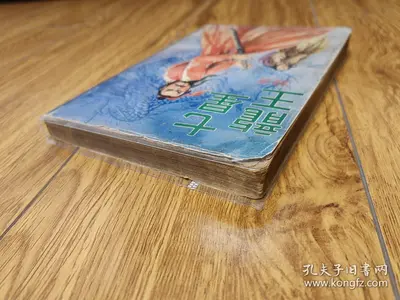 我是人间井龙王