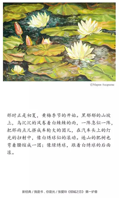 吾爱倾城：天使之爱