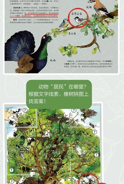 每天签到一个新物种