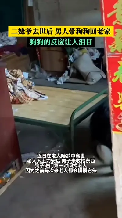 网游之万物皆有灵