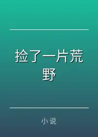捡了一片荒野
