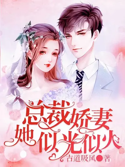 总裁的嫩妻狠暴力