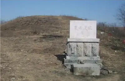 木叶之争权夺丽