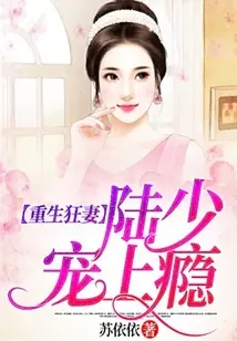 虐妻上瘾：陆总裁的独佳婚期