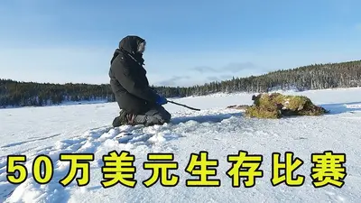 荒野独居：你管这个叫生存？