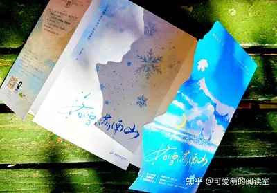 长街有雪也有你